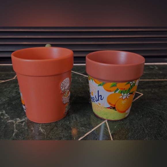 2 Collectible Epcot Flower and Garden Festival Mugs-2018 and 2020 - Picture 2 of 6